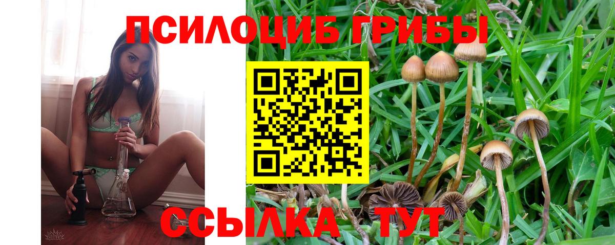 Псилоцибиновые грибы ЛСД  Вход с VPN  Кемерово 